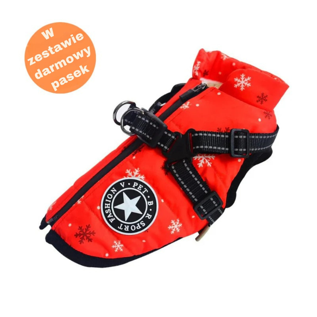 FluffyFit | Chroń swojego psa przed zimnymi dniami jesieni i zimy!