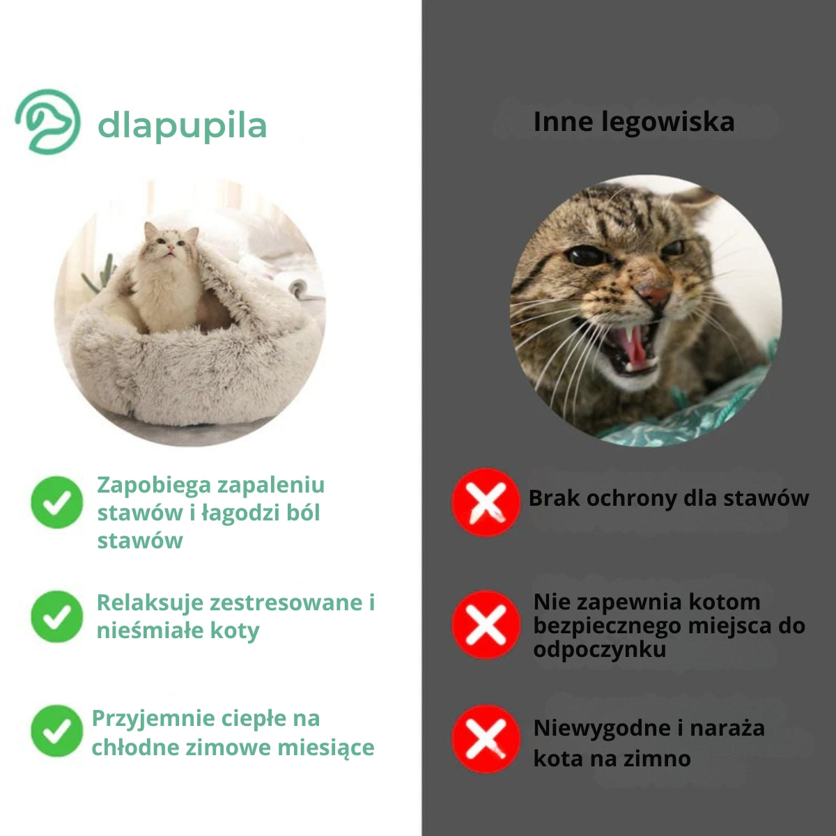 CozyPet | Ostateczne miejsce odpoczynku dla Twojego zwierzaka