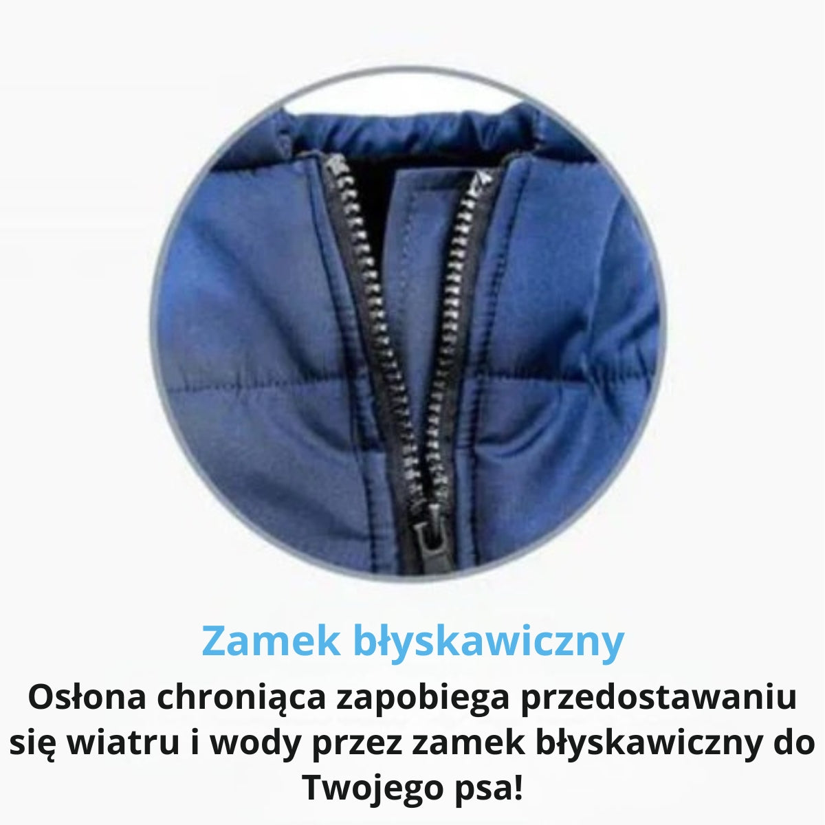 FluffyFit | Chroń swojego psa przed zimnymi dniami jesieni i zimy!