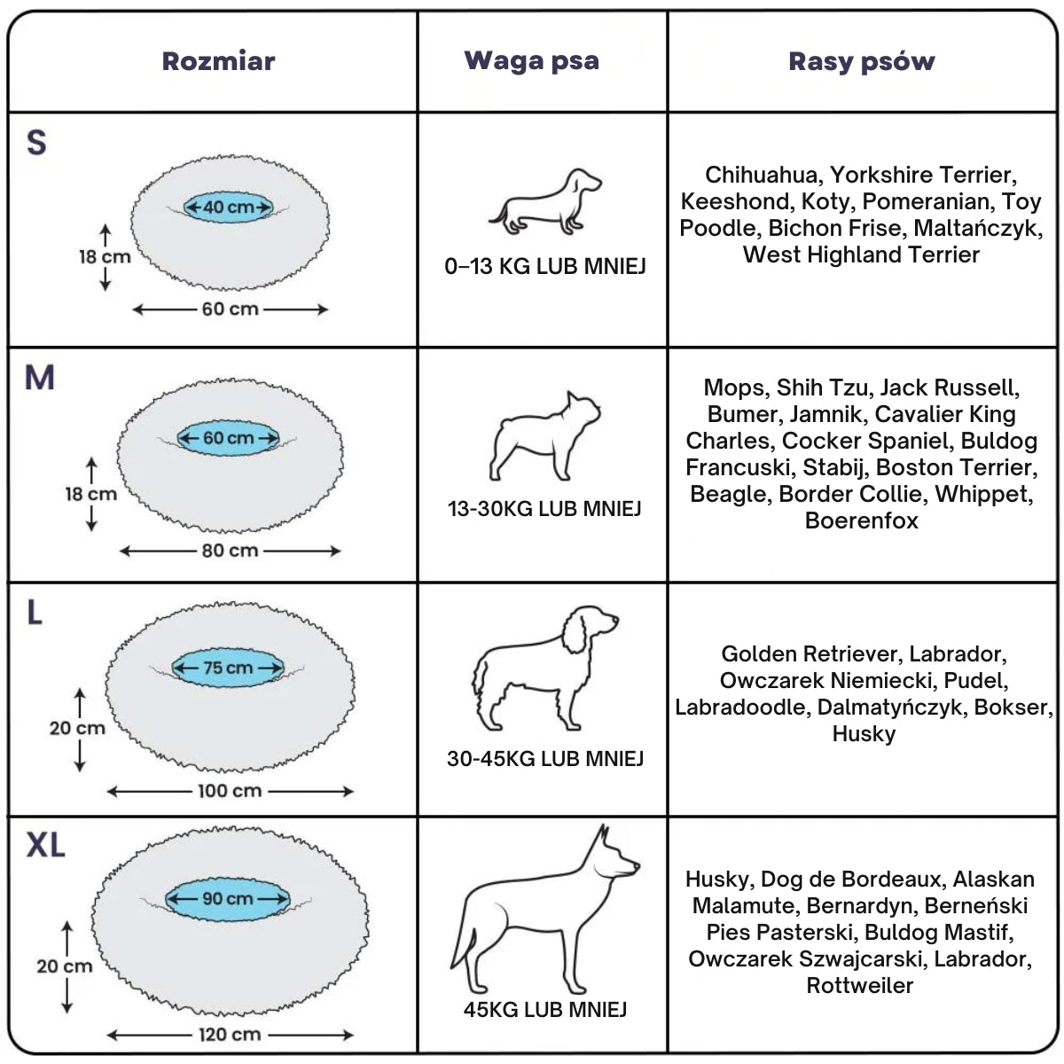 DreamPaw | Gdzie łapki odpoczywają, a marzenia się zaczynają!