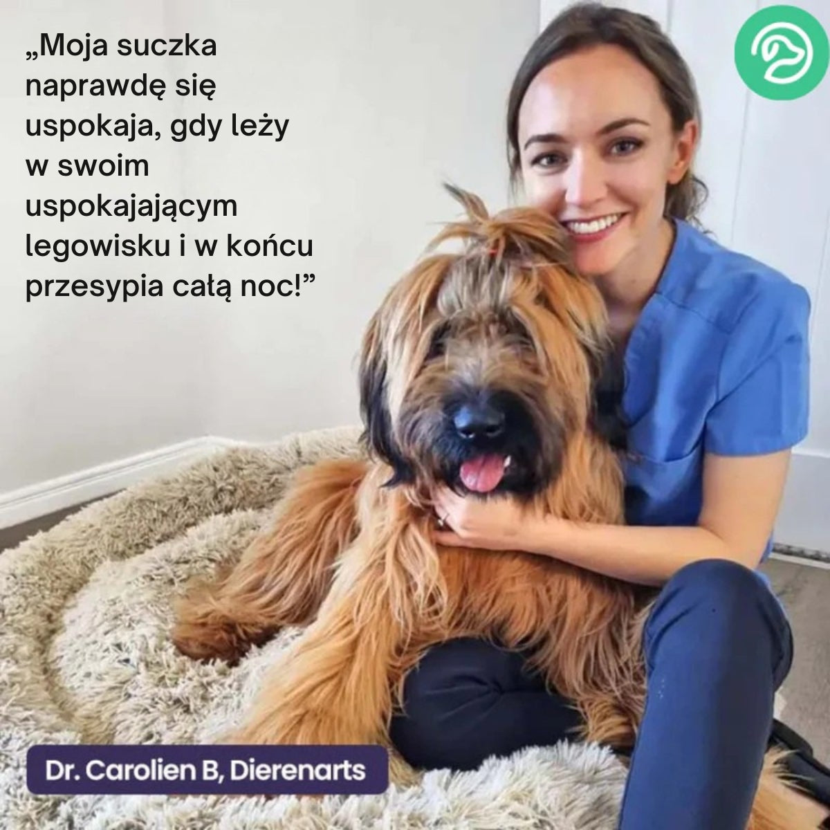 DreamPaw | Gdzie łapki odpoczywają, a marzenia się zaczynają!