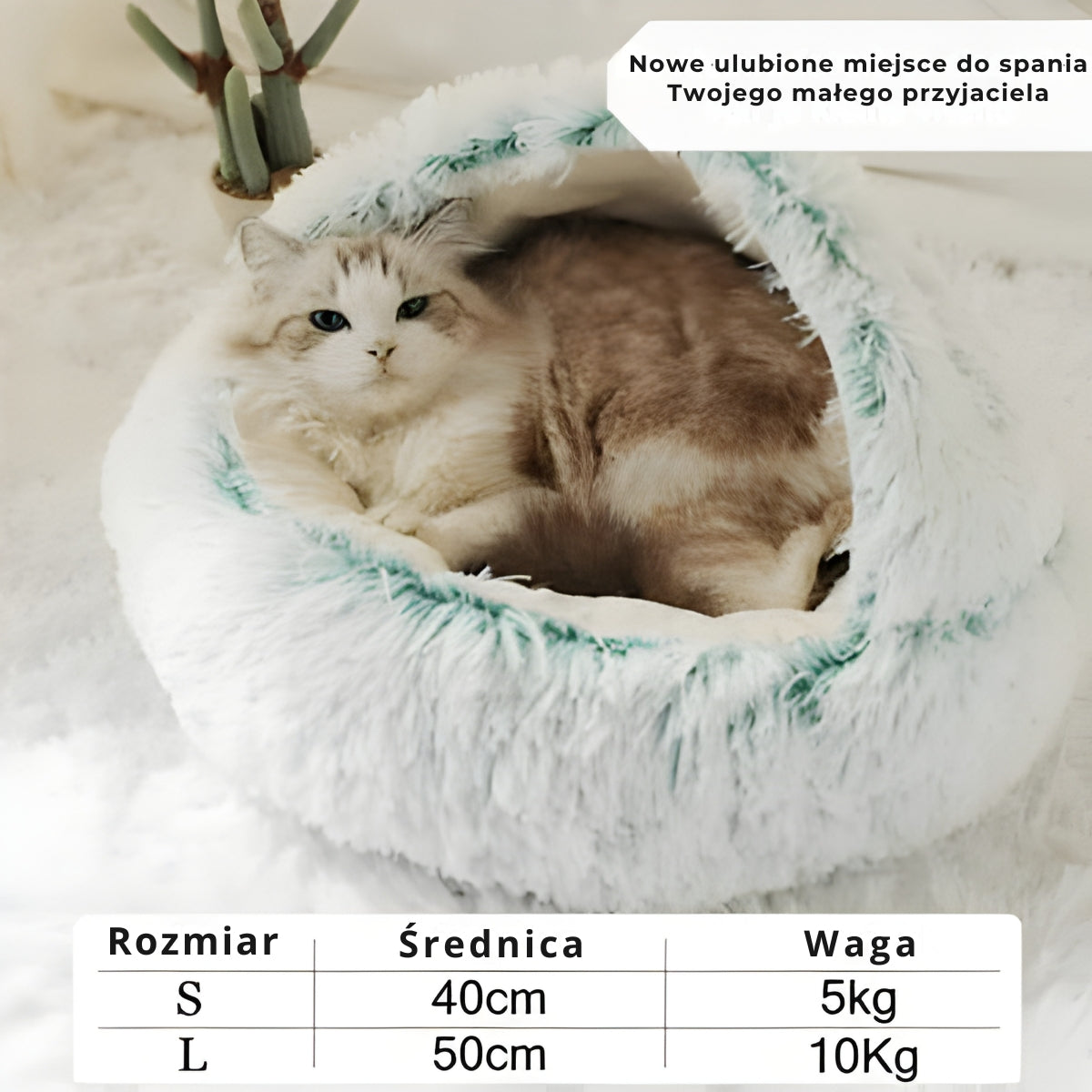 CozyPet | Ostateczne miejsce odpoczynku dla Twojego zwierzaka