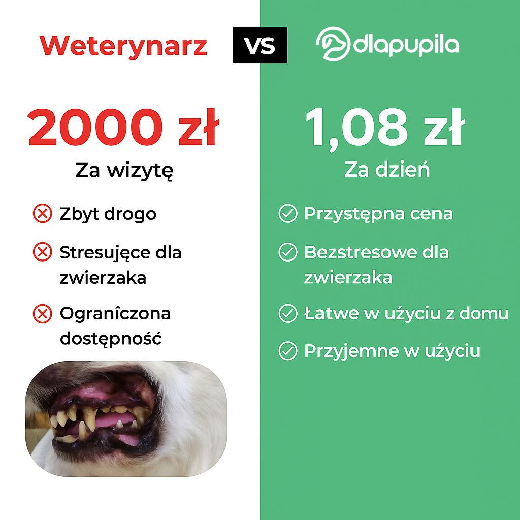 PetSmile™ | Pożegnaj kamień nazębny i nieświeży oddech!