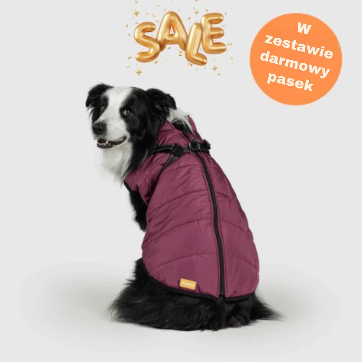 FluffyFit | Chroń swojego psa przed zimnymi dniami jesieni i zimy!