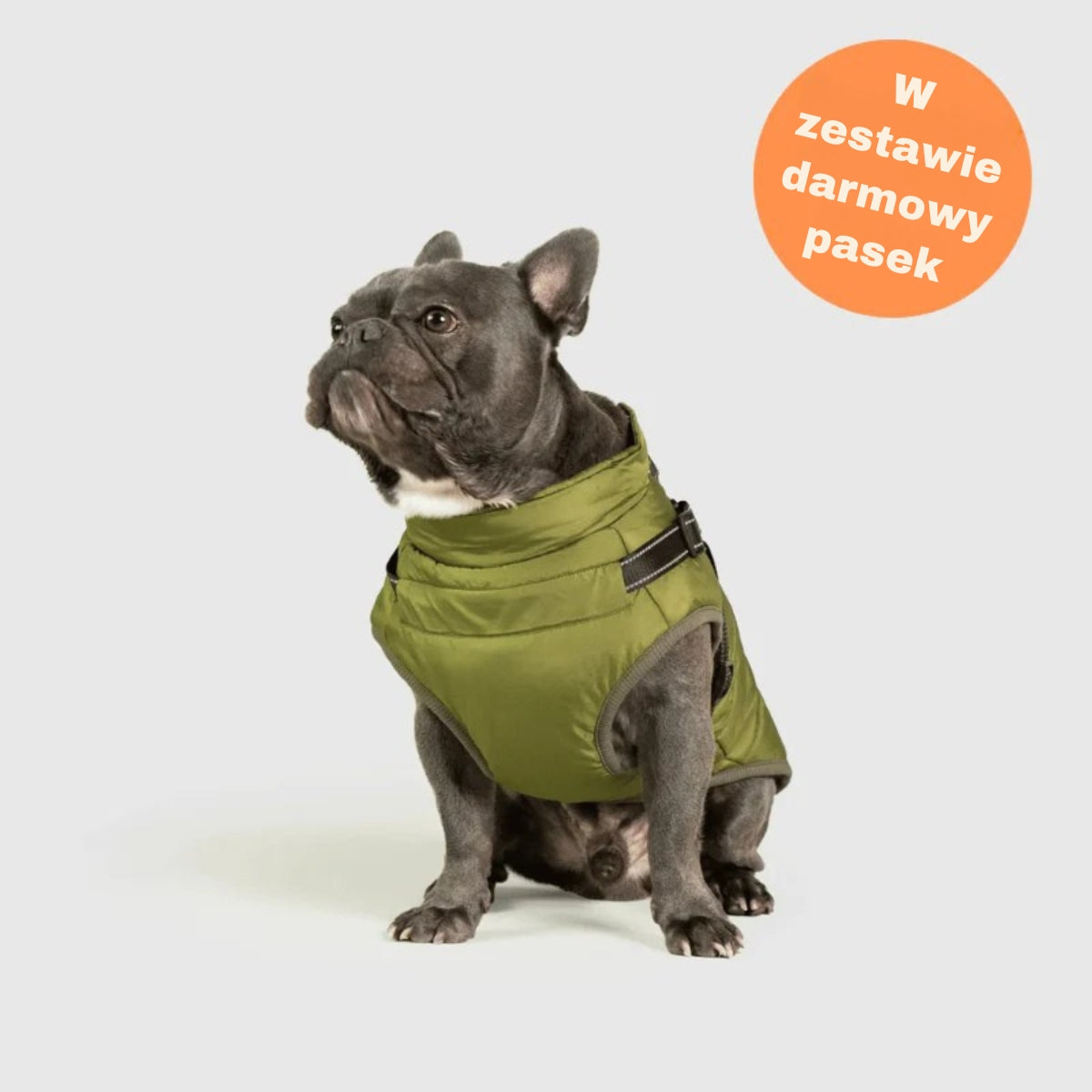 FluffyFit | Chroń swojego psa przed zimnymi dniami jesieni i zimy!