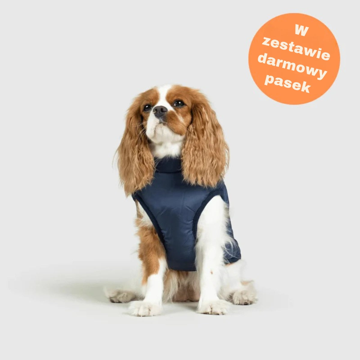 FluffyFit | Chroń swojego psa przed zimnymi dniami jesieni i zimy!