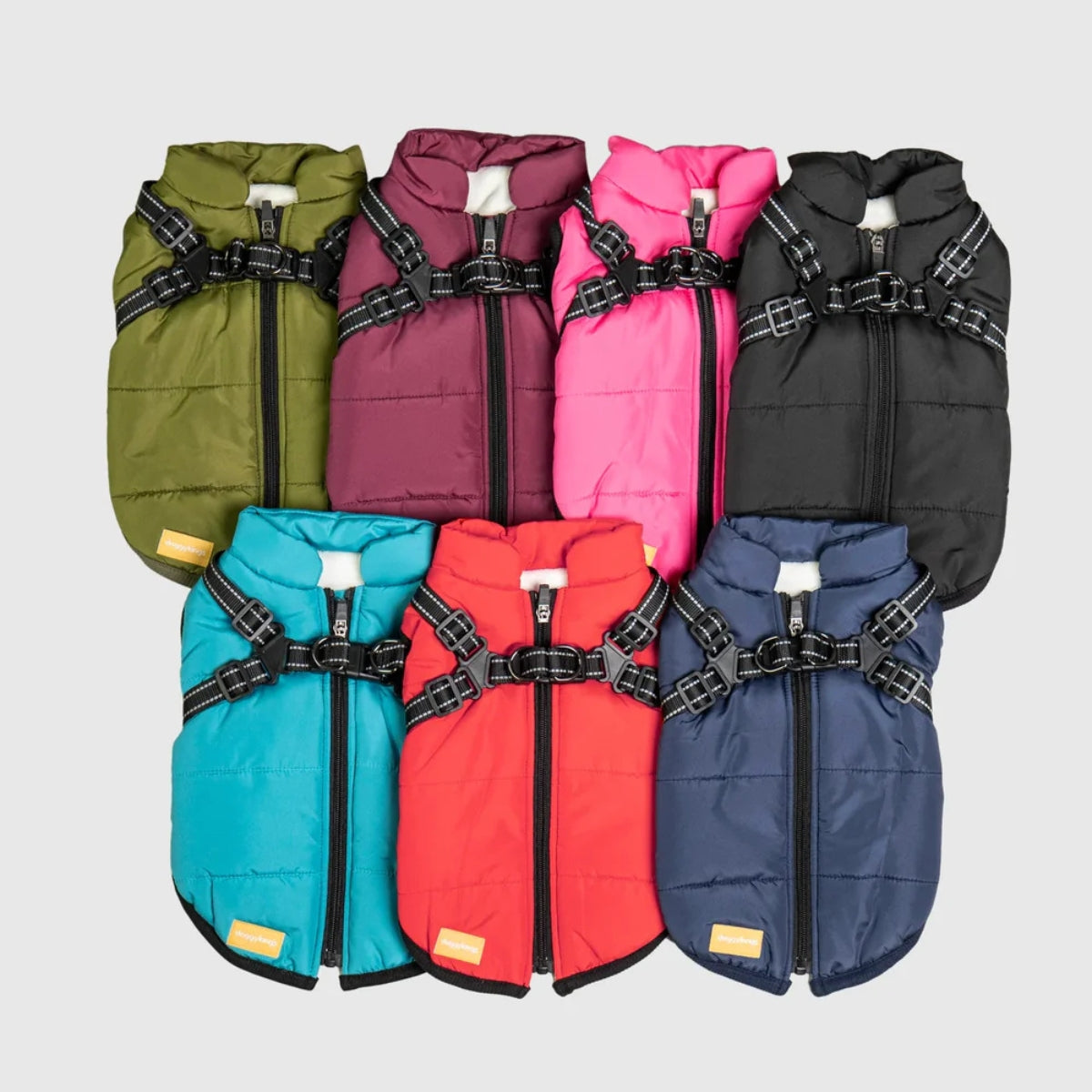 FluffyFit | Chroń swojego psa przed zimnymi dniami jesieni i zimy!