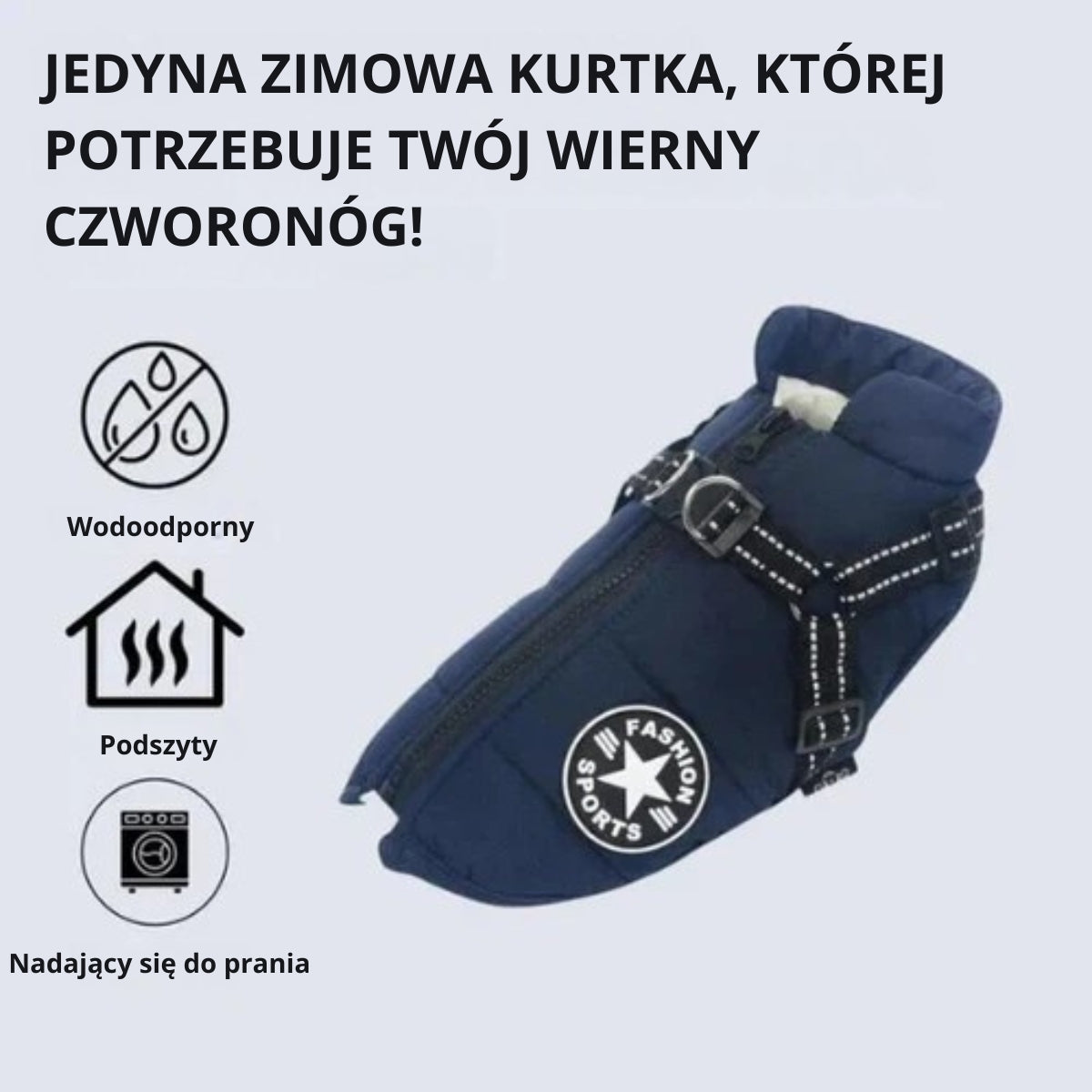 FluffyFit | Chroń swojego psa przed zimnymi dniami jesieni i zimy!