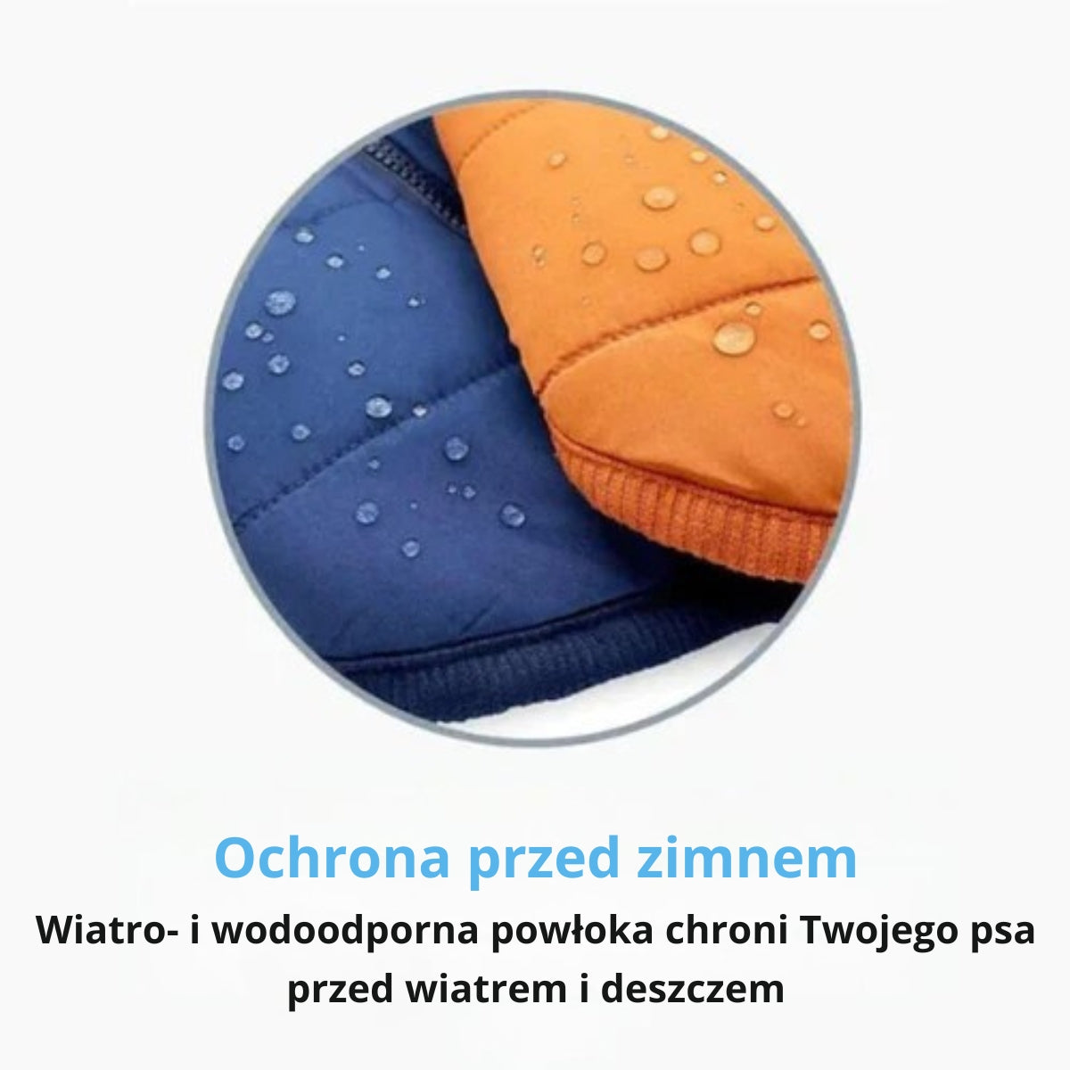 FluffyFit | Chroń swojego psa przed zimnymi dniami jesieni i zimy!