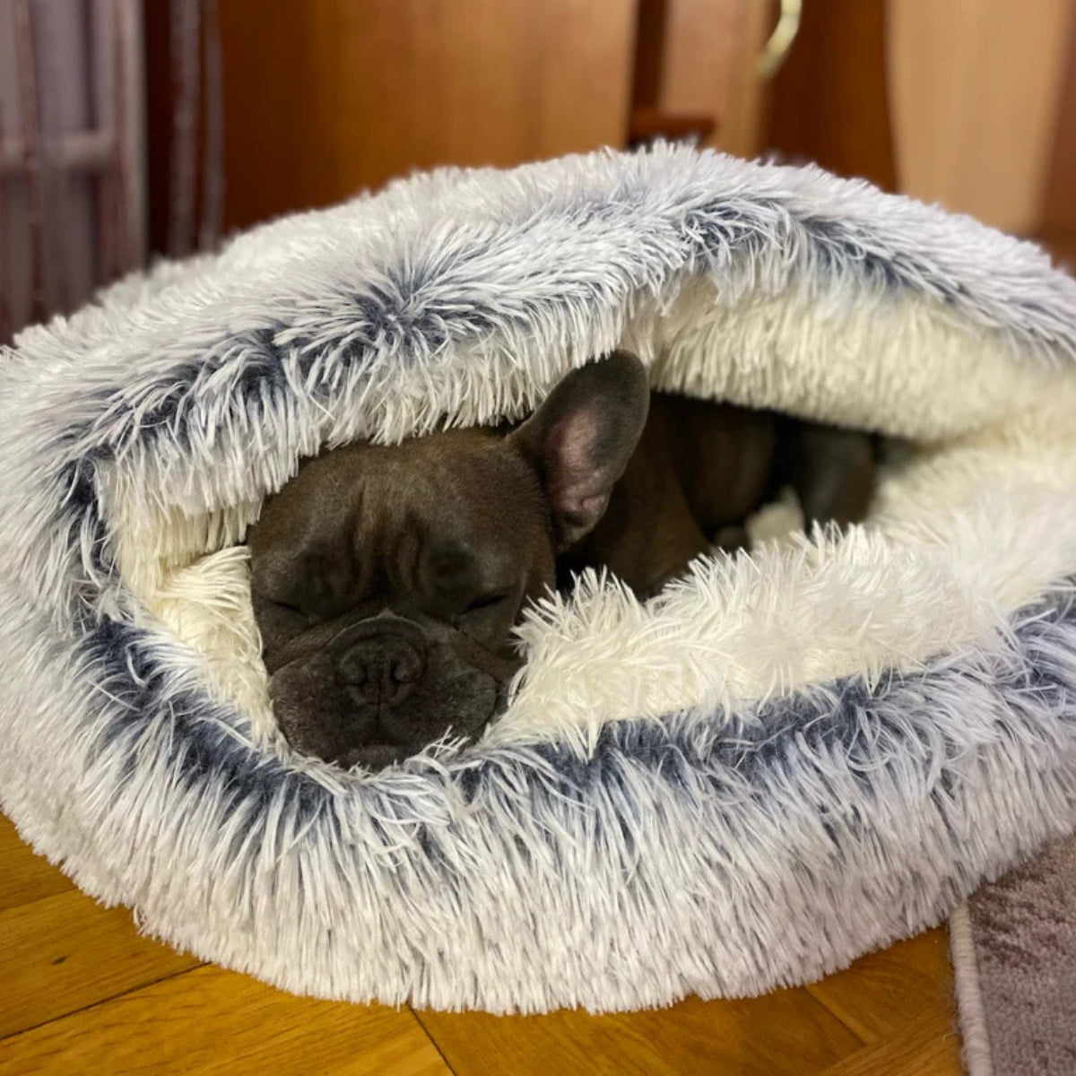 CozyPet | Ostateczne miejsce odpoczynku dla Twojego zwierzaka