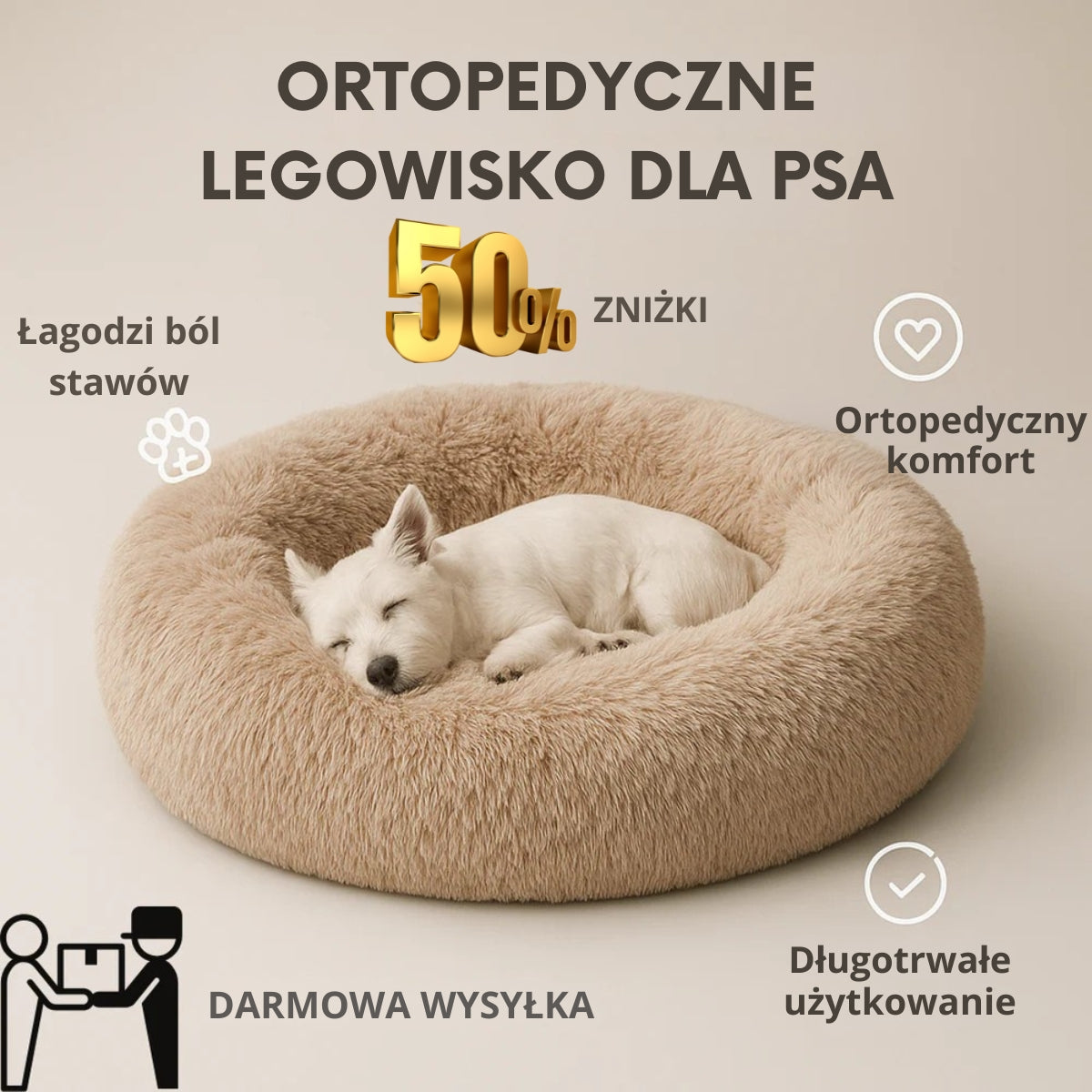 DreamPaw | Gdzie łapki odpoczywają, a marzenia się zaczynają!