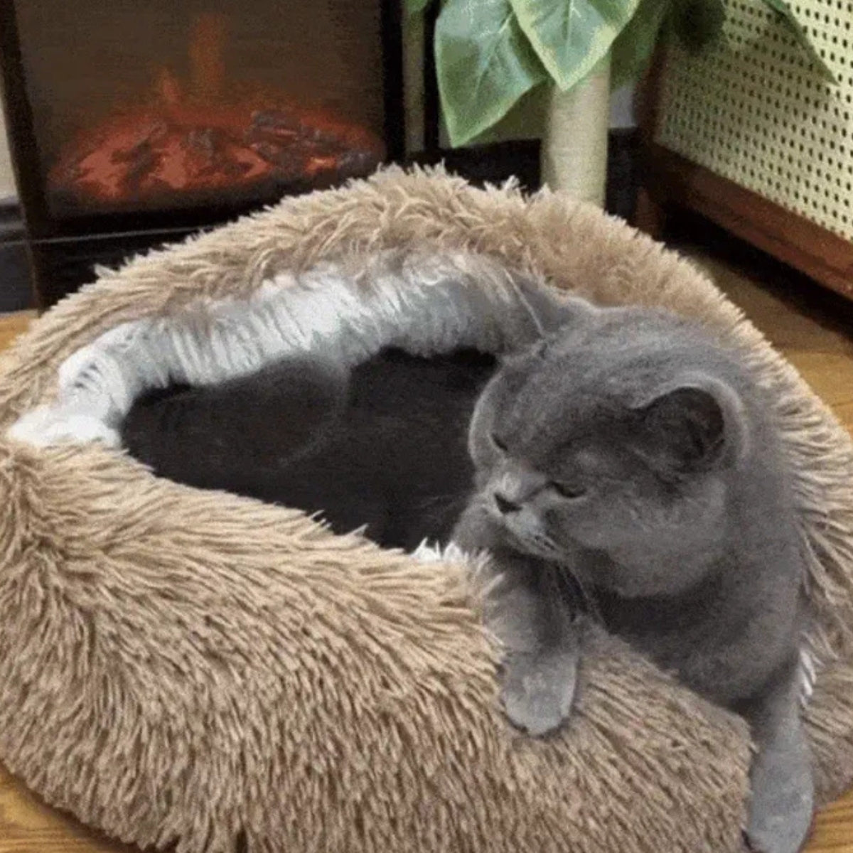 CozyPet | Ostateczne miejsce odpoczynku dla Twojego zwierzaka