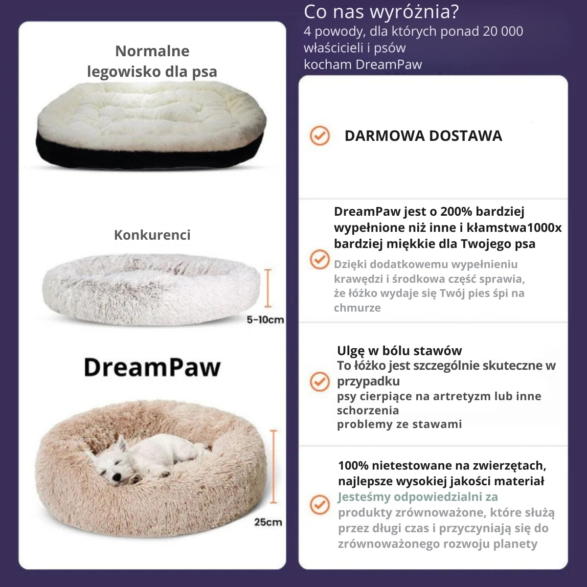 DreamPaw | Gdzie łapki odpoczywają, a marzenia się zaczynają!