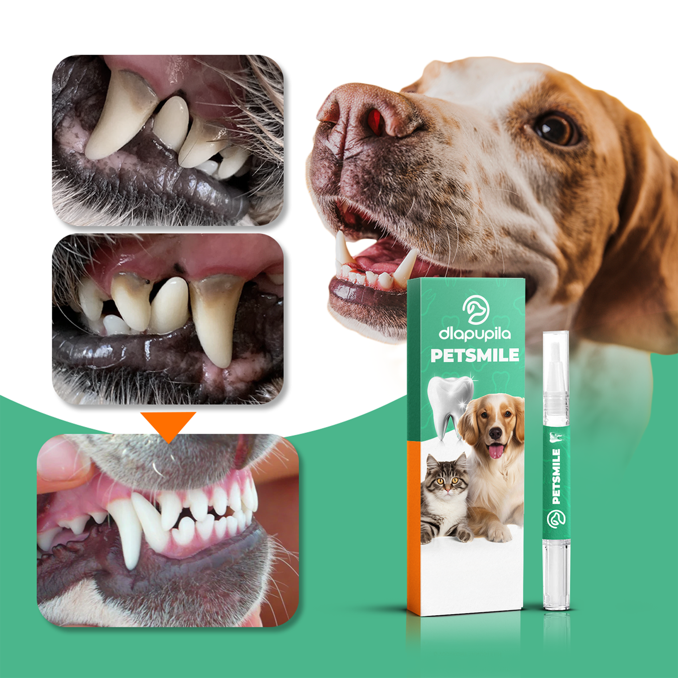 PetSmile™ | Pożegnaj kamień nazębny i nieświeży oddech!